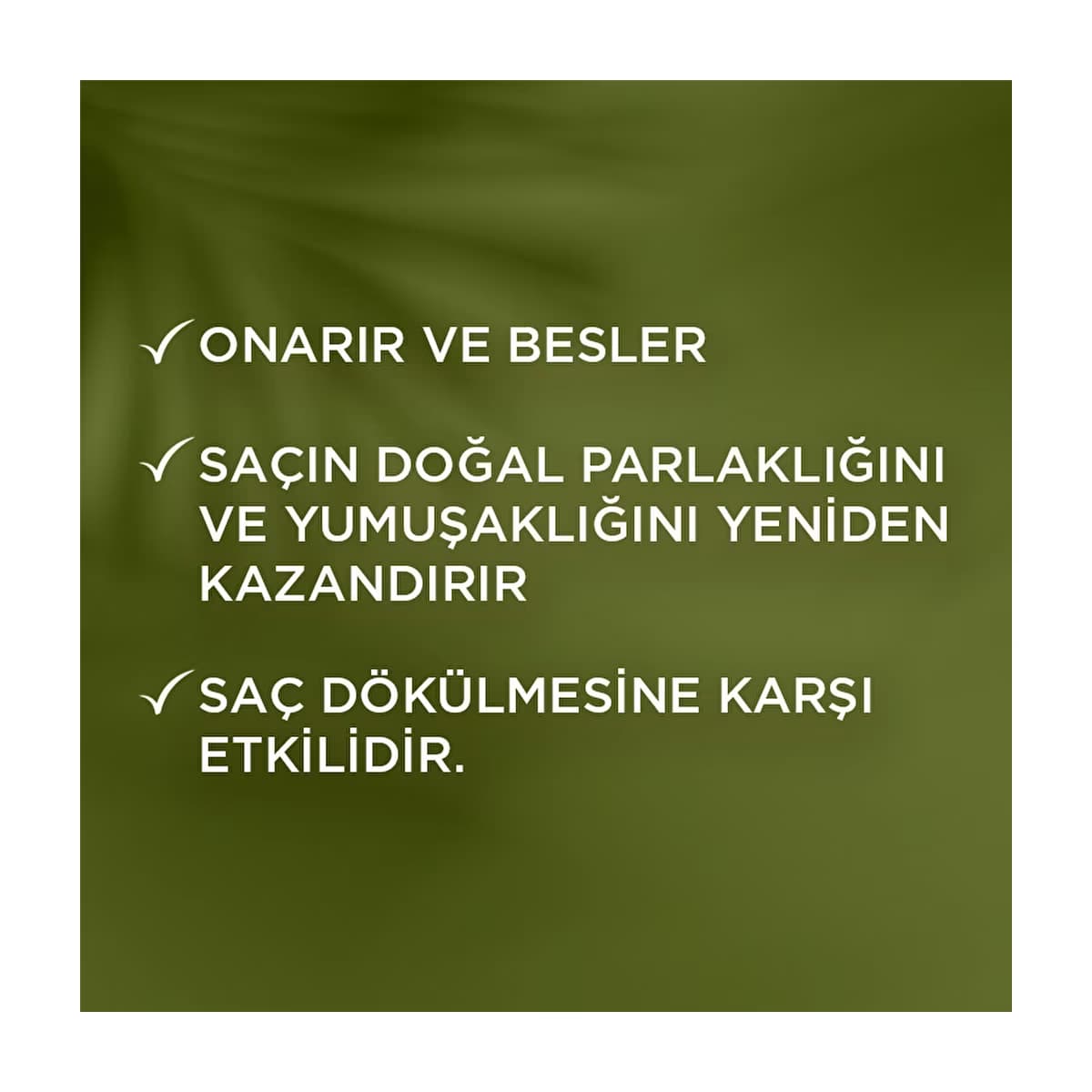 Bioblas Argan Saç Bakım Kremi 250 ml - Gratis 3