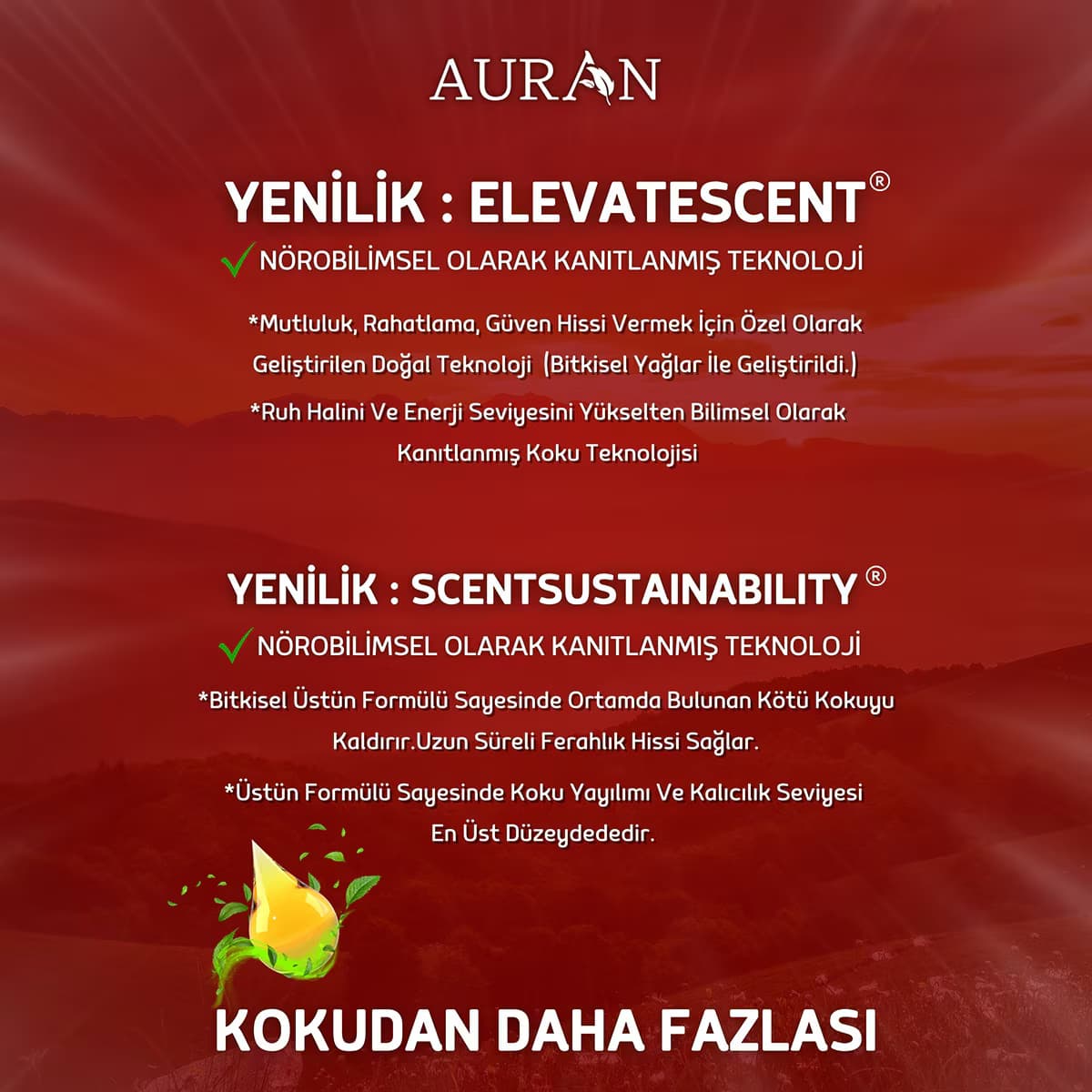 Auran Uçucu Koku Yağı Amber 10 ml 3