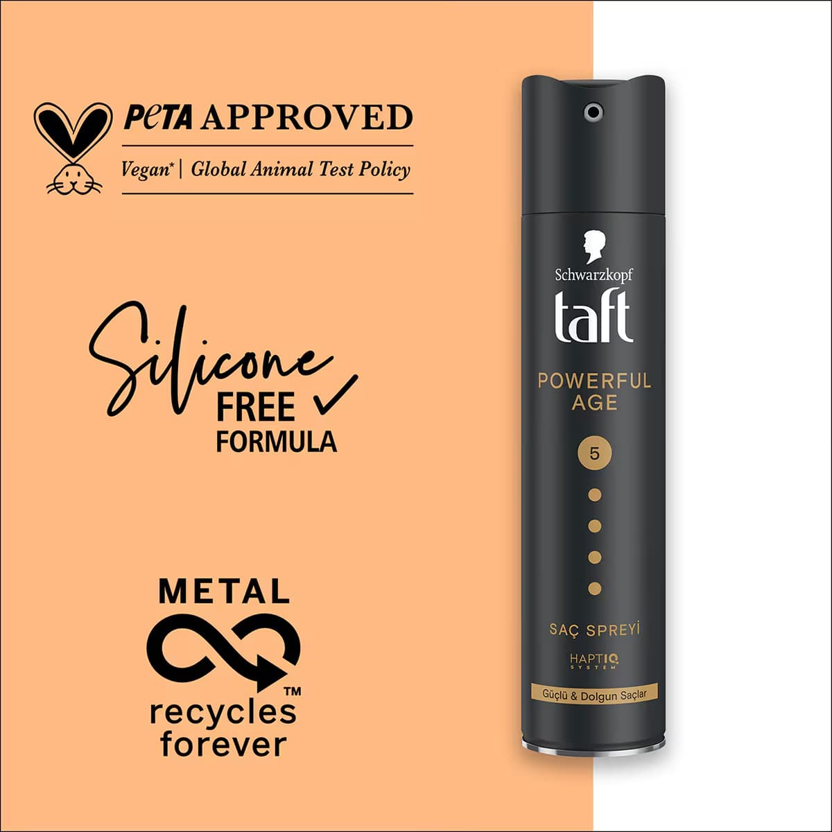 Taft Powerful Age Sprey 250 ml 3