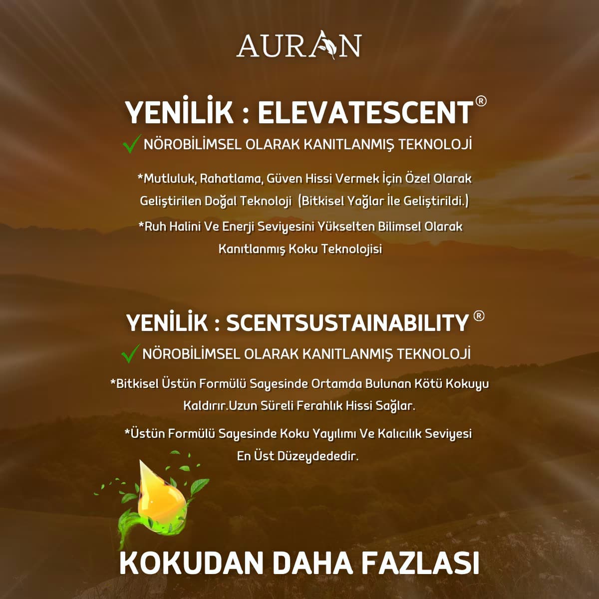 Auran Uçucu Koku Yağı Sandal Ağacı 10 ml 3