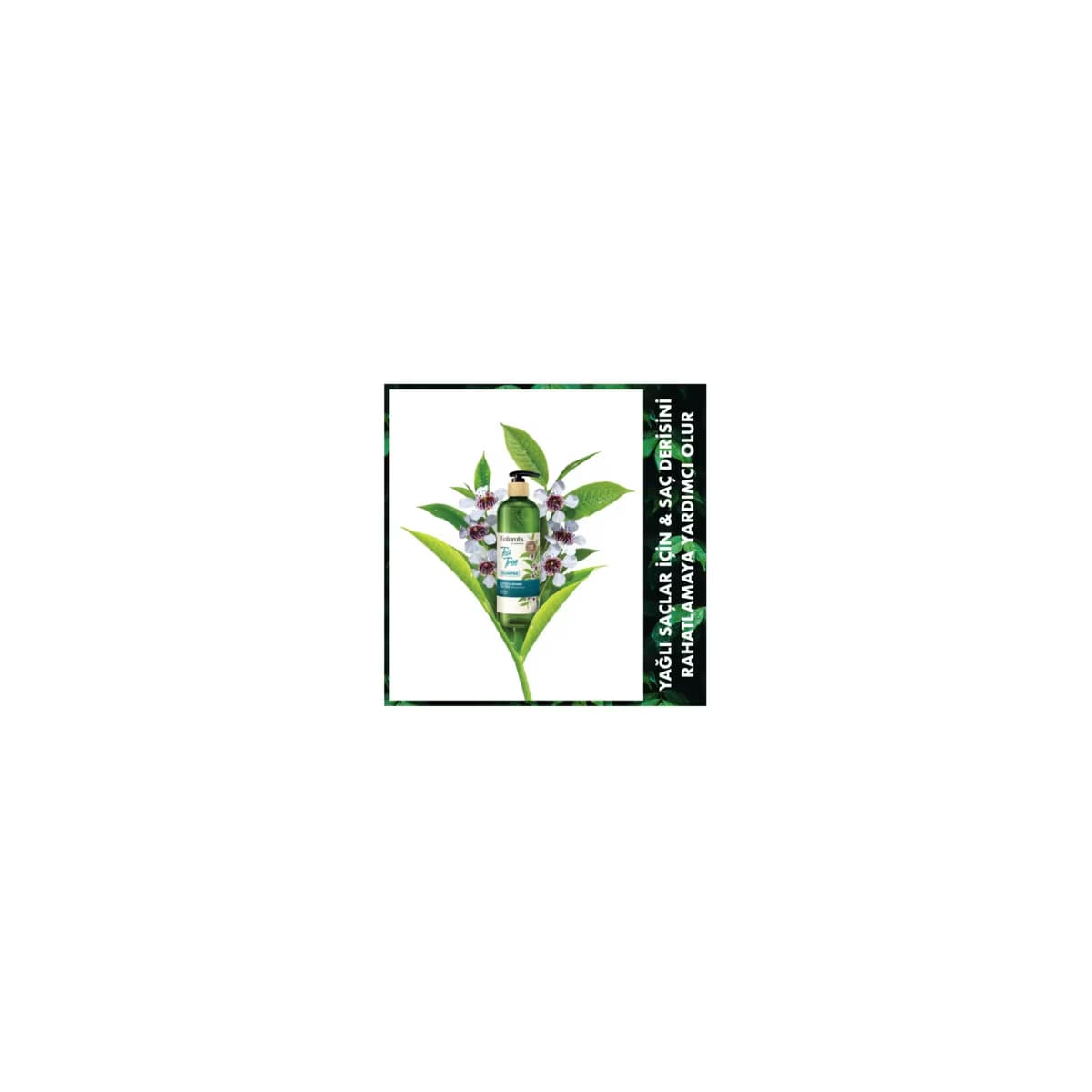 Naturals By Watsons Şampuan Tea Tree 490 ml 3