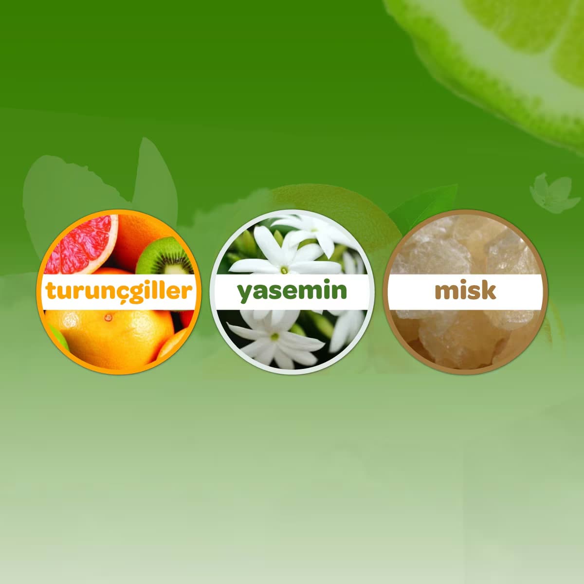 Dalin Orman Esintisi Bebek Kolonyası 150 ml 3