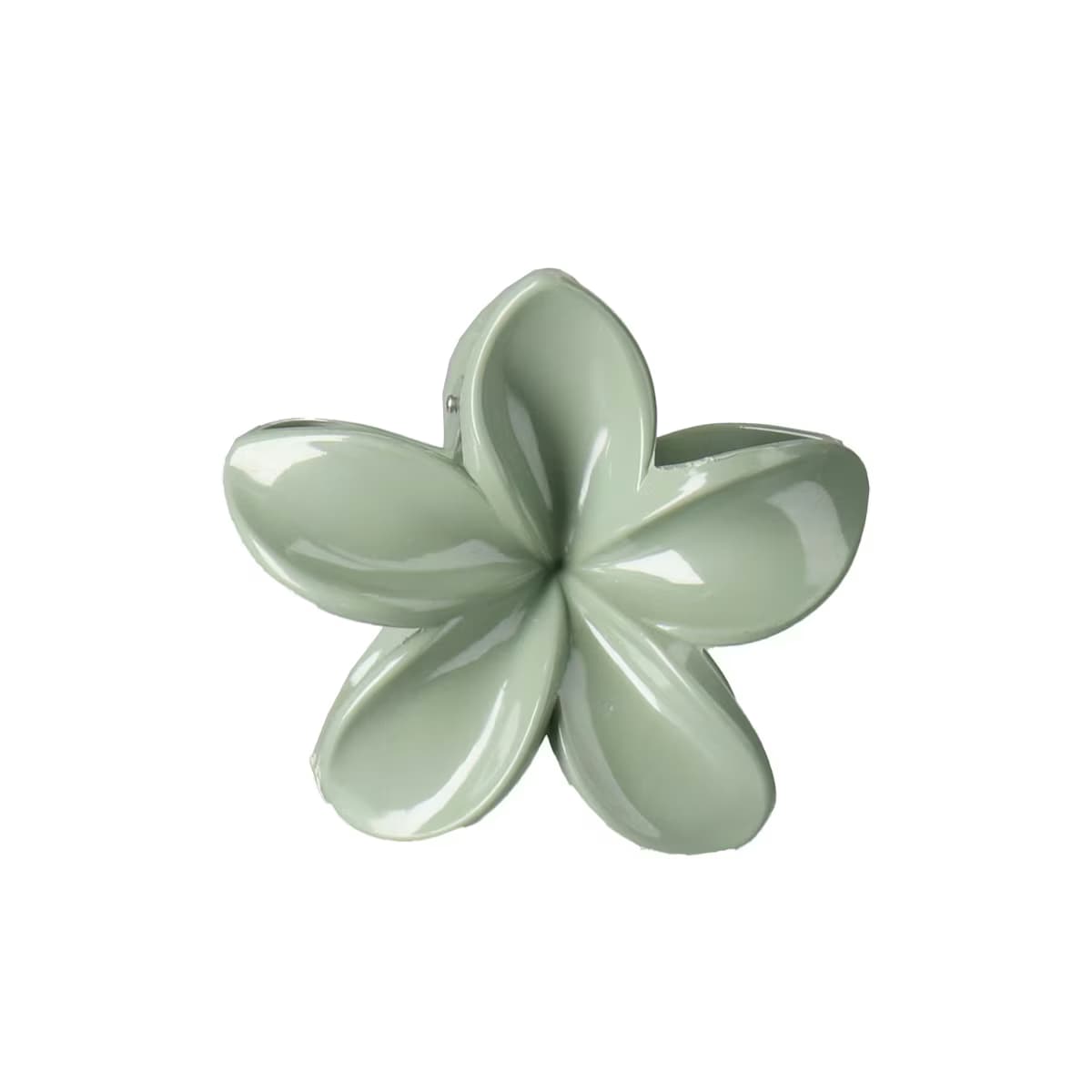 Youpick Lotus Toka Büyük 2