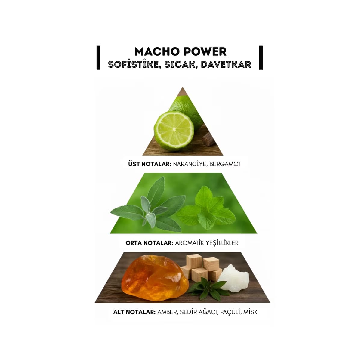 Macho EDT Erkek Parfüm Power 100 ml - Gratis 3