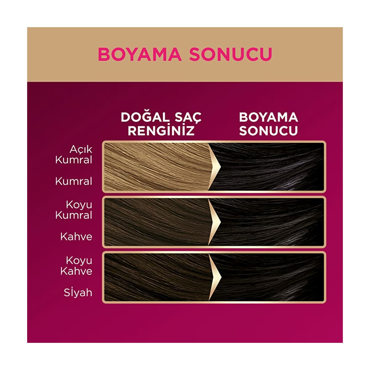 Palette Deluxe Saç Boyası 1-0 Siyah - Gratis 5
