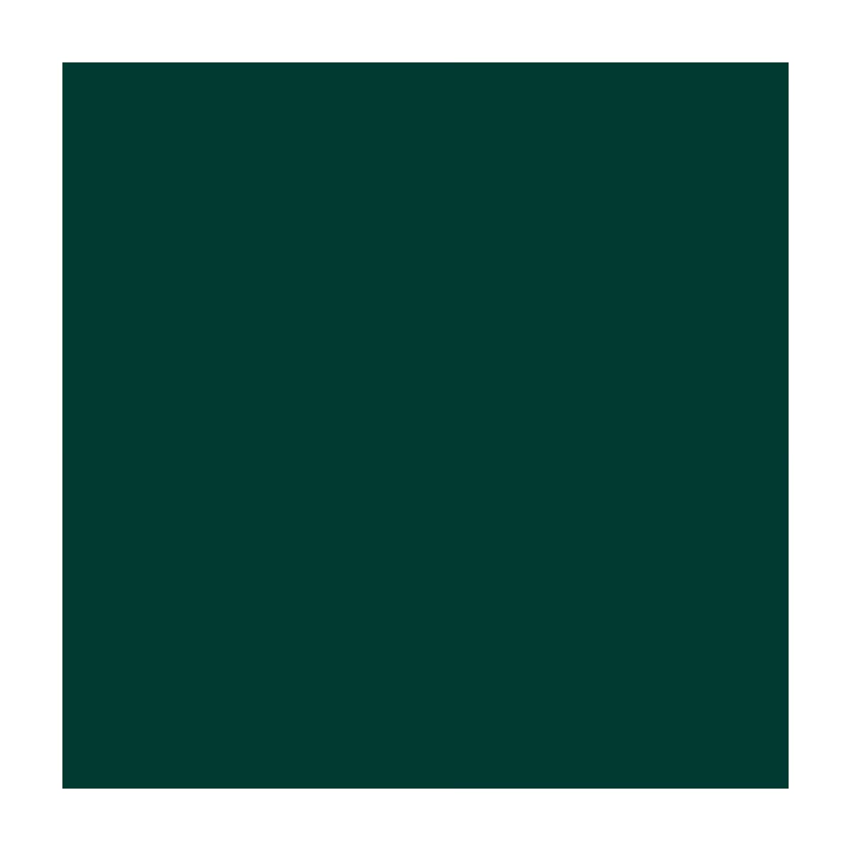 Astra Jumbo Eyeshadow Emerald - Gratis 3