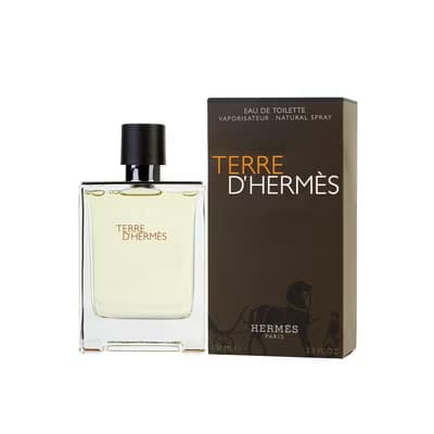 Hermes Terre D'Hermes Edt Erkek Parfüm 100ml