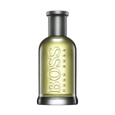 Hugo Boss Bottled Erkek Parfüm Edt 100 ml