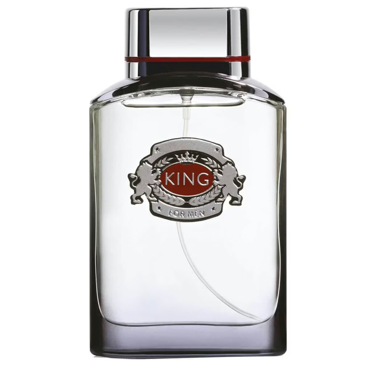 Sansiro King Erkek Parfümü EDT 100 ml 2
