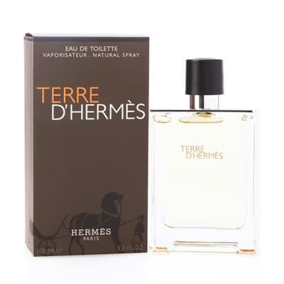 Hermes Terre Erkek Parfüm EDT 100 ml