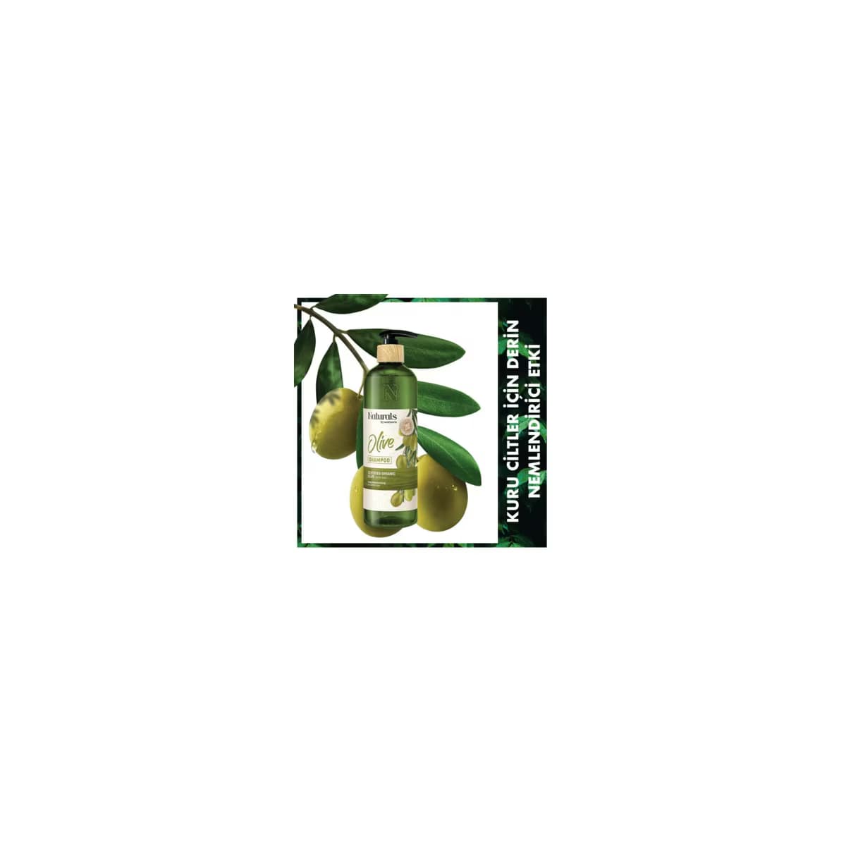 Naturals By Watsons Şampuan Olive 490 ml 3