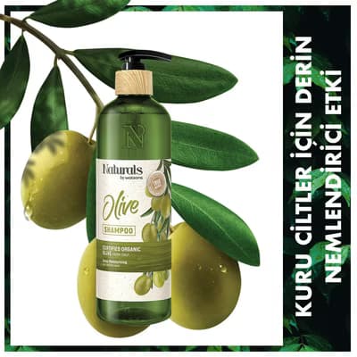 Naturals By Watsons Şampuan Olive 490 ml
