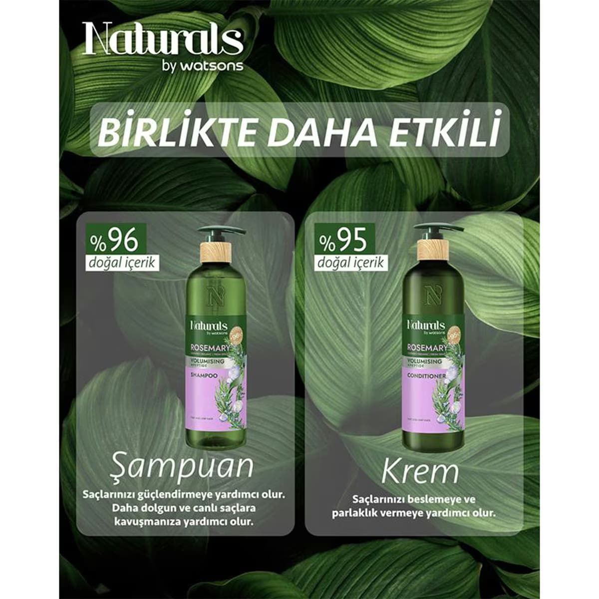Naturals By Watsons Rosemary Şampuan 490 ml 3