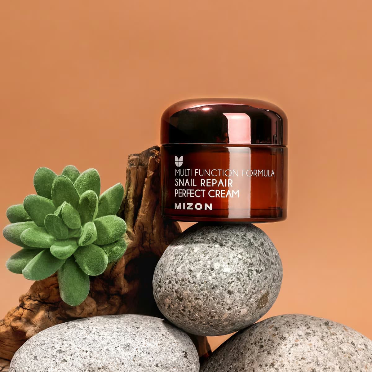 Mizon Snail Repair Perfect Krem 50 ml 3