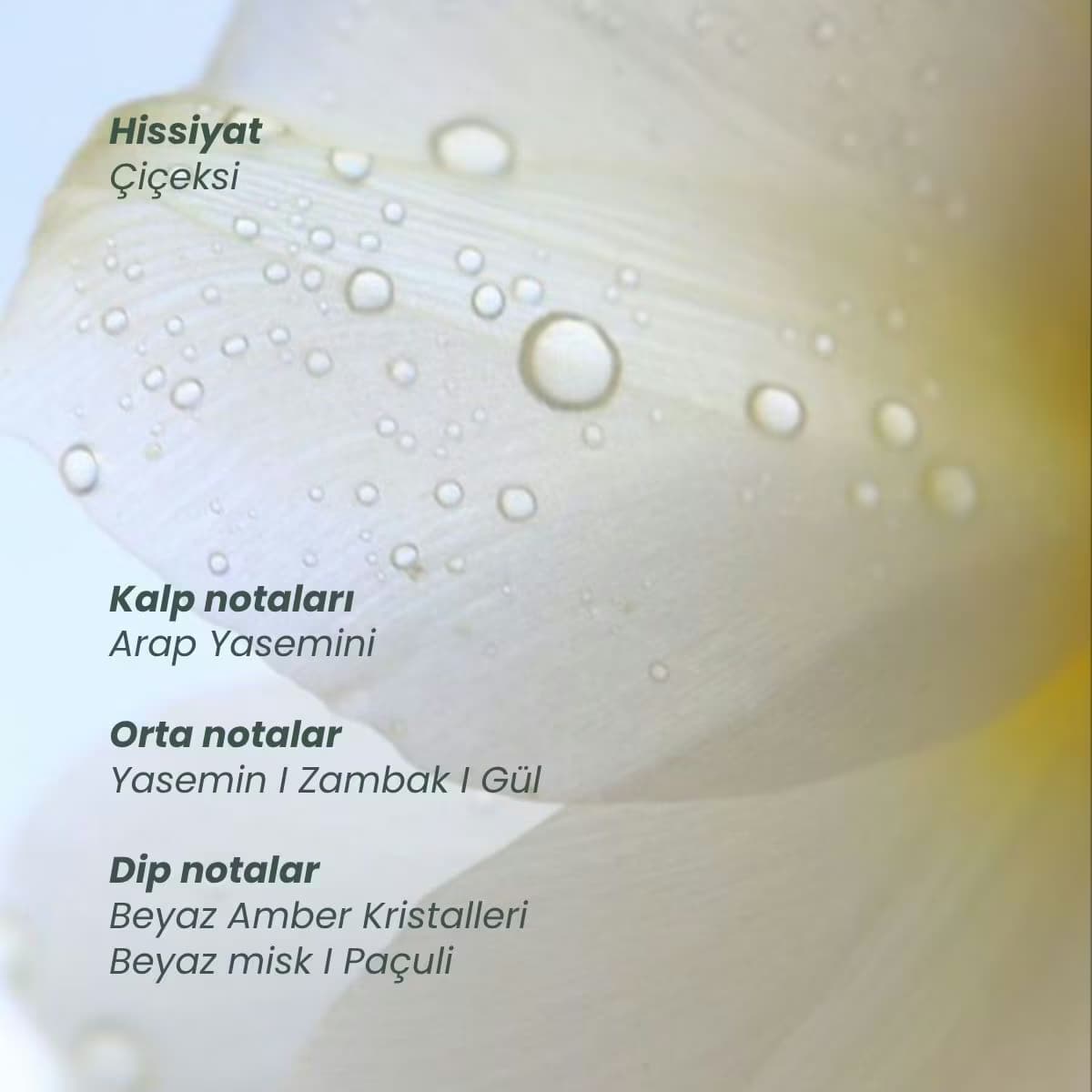 Matsu Saç Parfümü Myth 50 ml 4