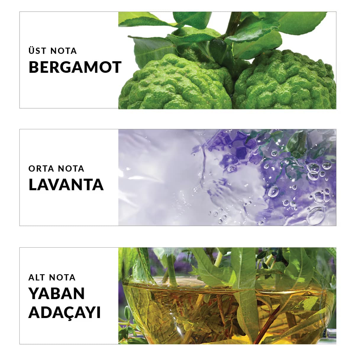 Avon TTA Today Erkek EDT 75 ml 3