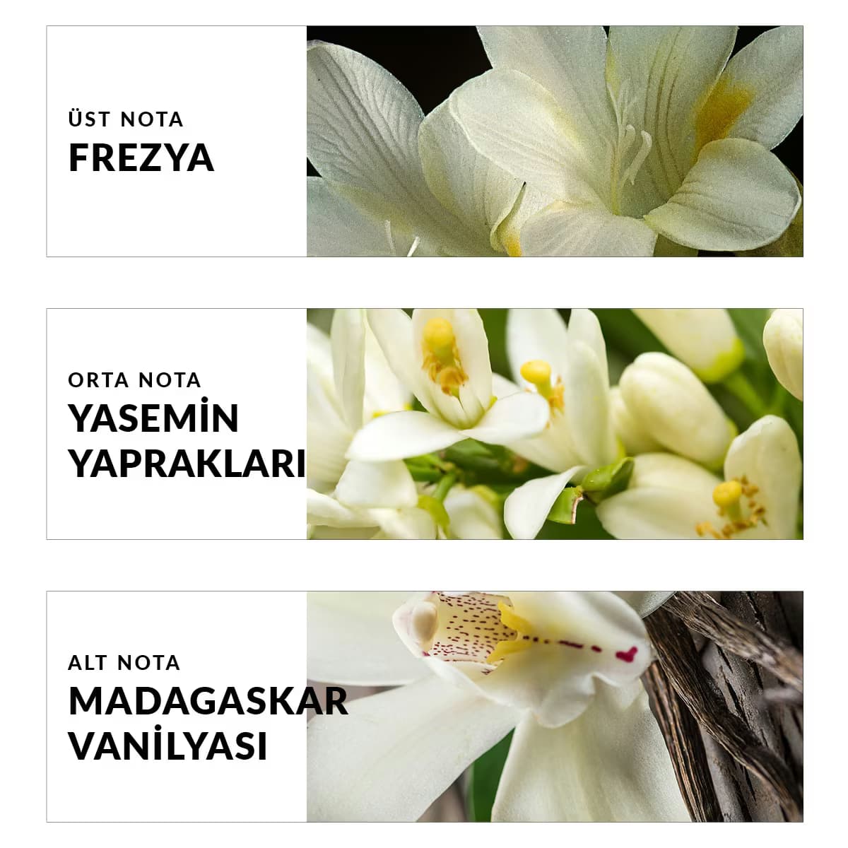 Avon Far Away Kadın Parfüm EDP 50 ml 3