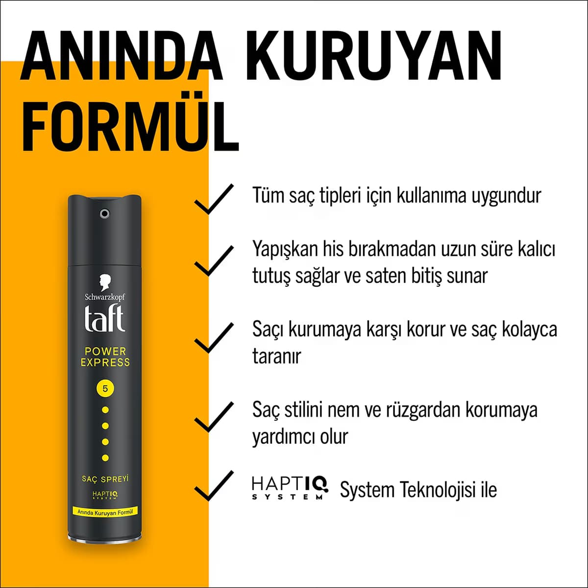 Taft Power Express Saç Spreyi 250 ml 2