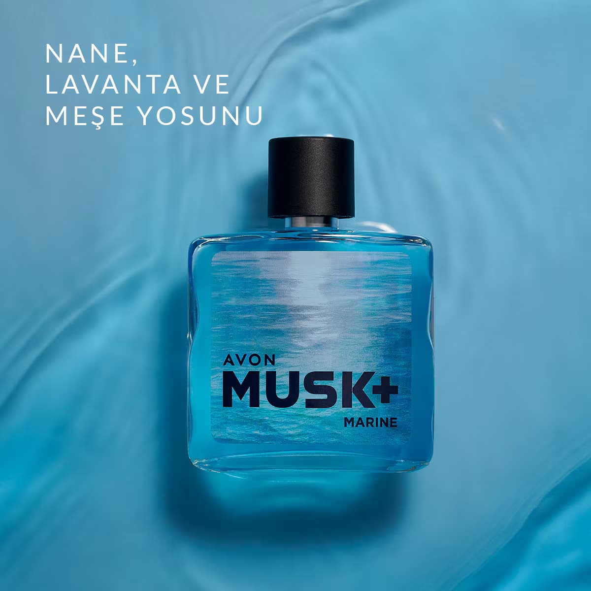Avon Musk Marine Erkek EDT 75 ml 2