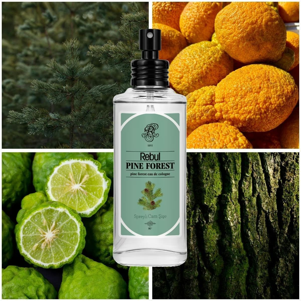 Rebul Kolonya Pine Forest 100 ml 4