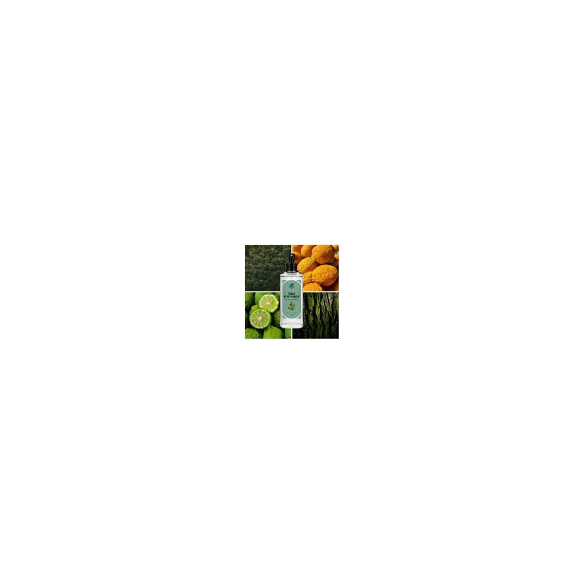 Rebul Kolonya Pine Forest 100 ml 5
