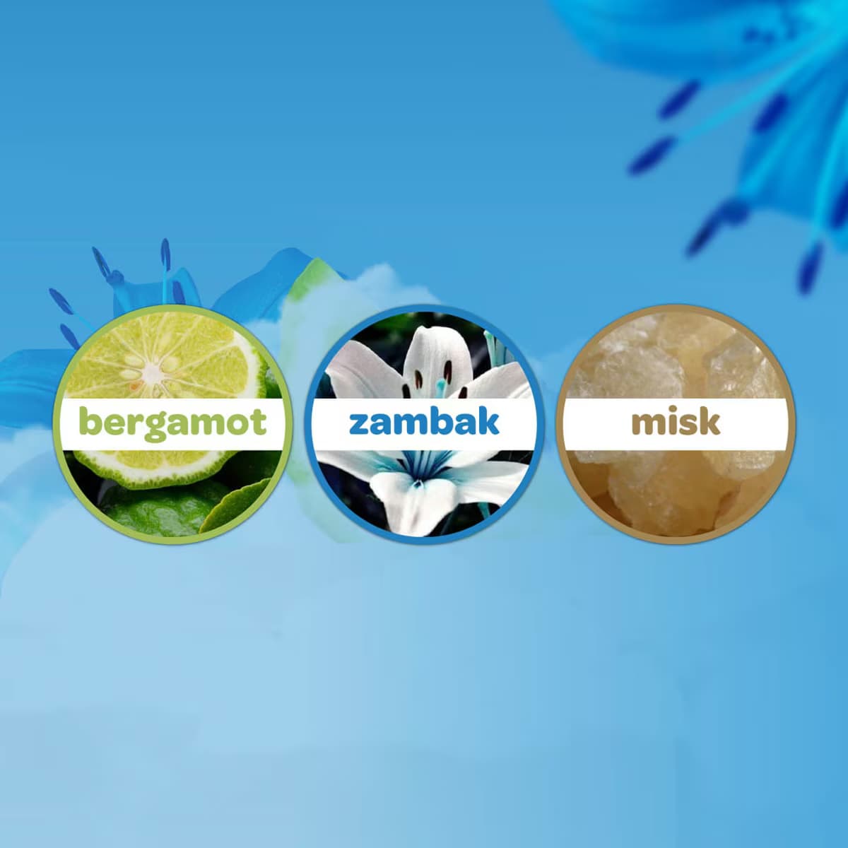 Dalin Bebek Kolonyası Okyanus Ferahlığı 150 ml 3