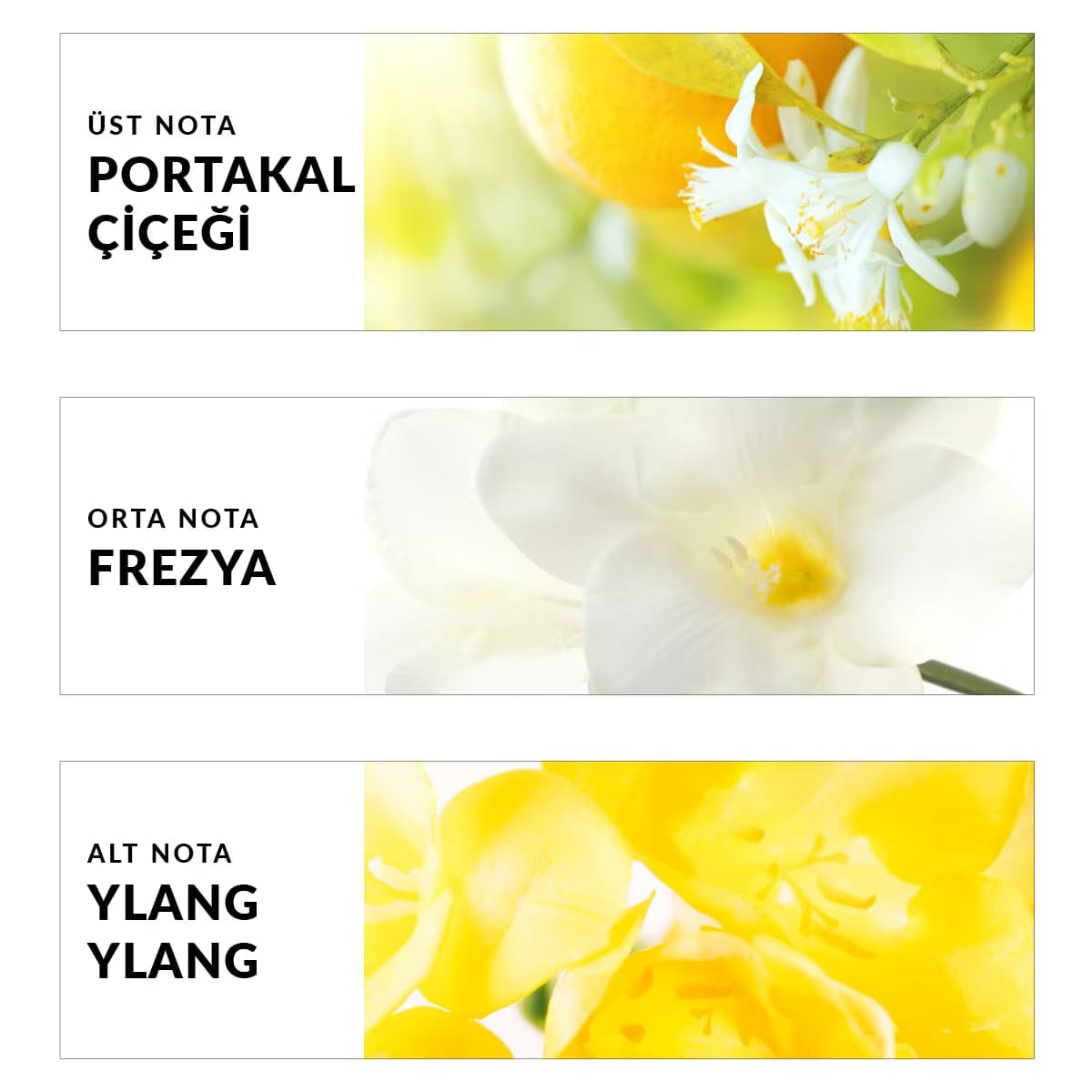 Avon TTA Today Kadın Parfüm EDP 50 ml 3