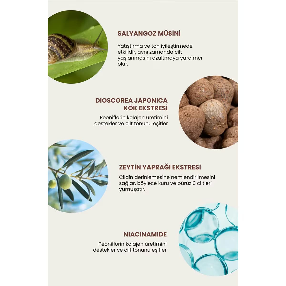 Deoproce Kore Snail Recovery Tonik 210 ml 4