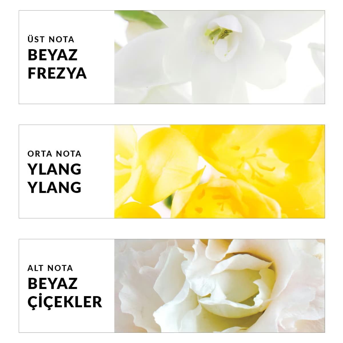 Avon Pur Blanca Kadın Parfüm EDT 50 ml 3