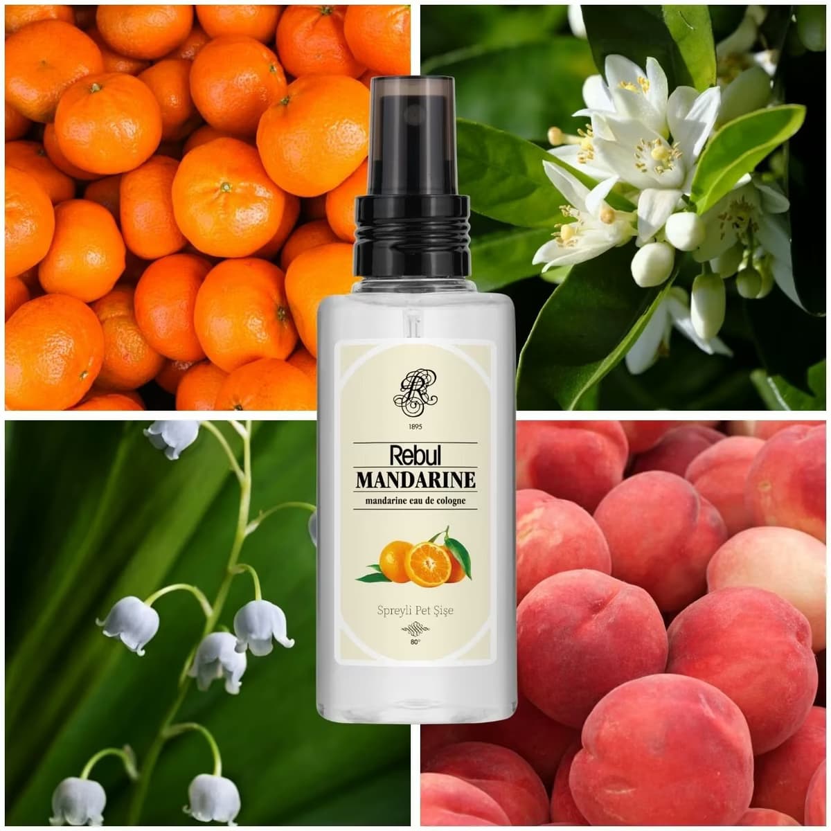 Rebul Kolonya Mandarine, 125 ml 2