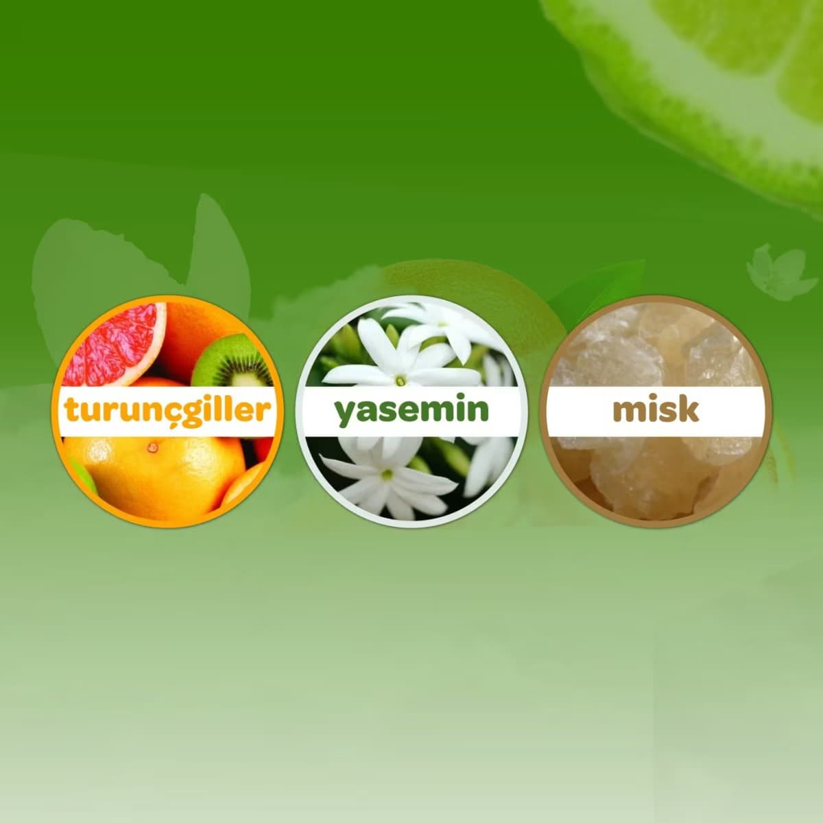 Dalin Kolonya Daisy 150 ml 3