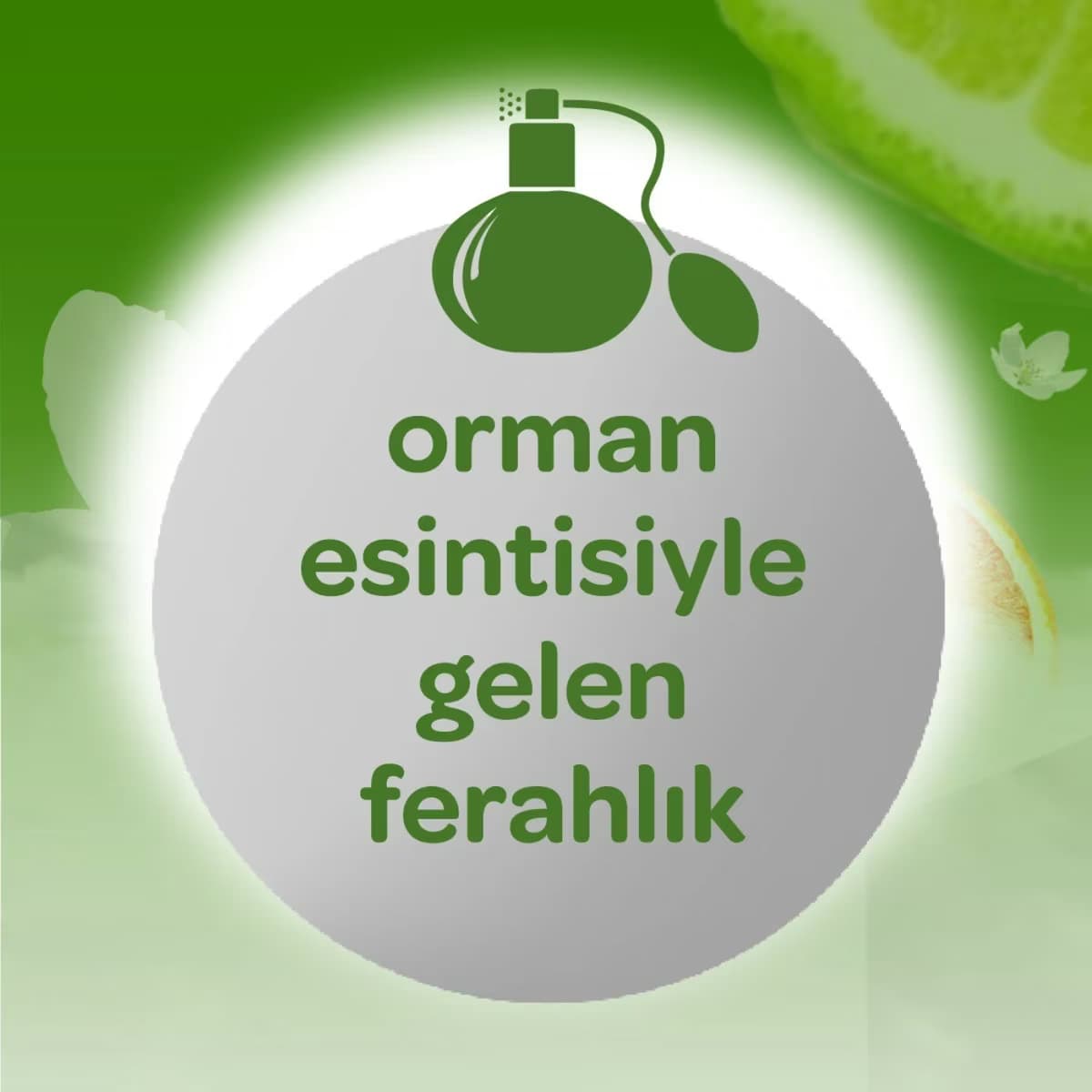 Dalin Kolonya Daisy 150 ml 4