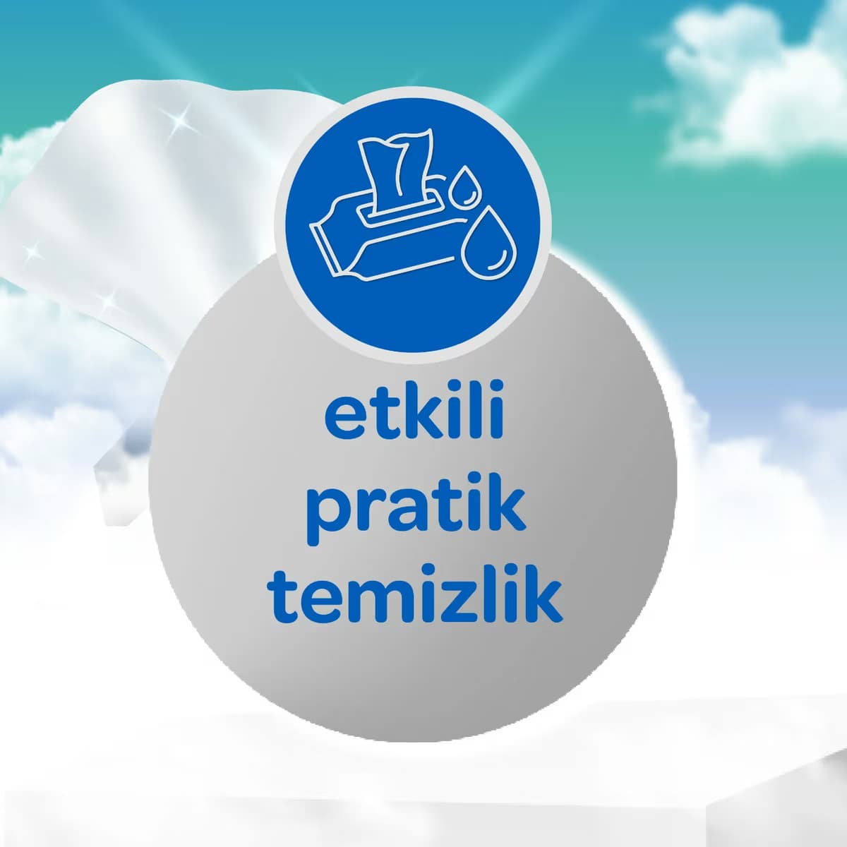 Dalin Islak Cep Mendili Hijyenik 3x15 adet 5