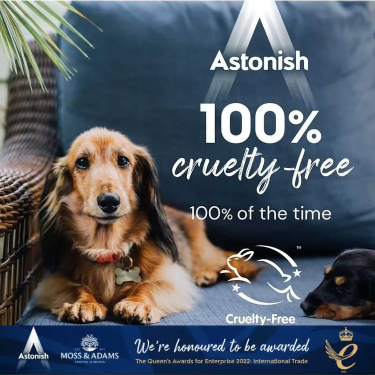 Astonish Leke Çıkarıcı Sprey 750 ml 2