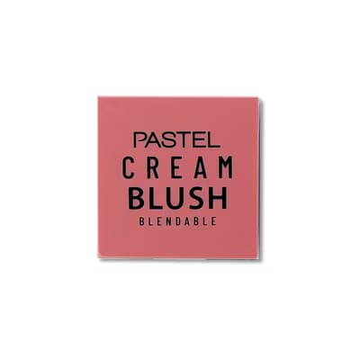 Pastel Allık Profashion No 41 1 adet