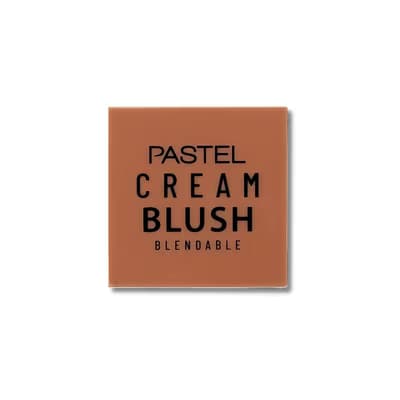 Pastel Allık Profashion No 45 1 adet