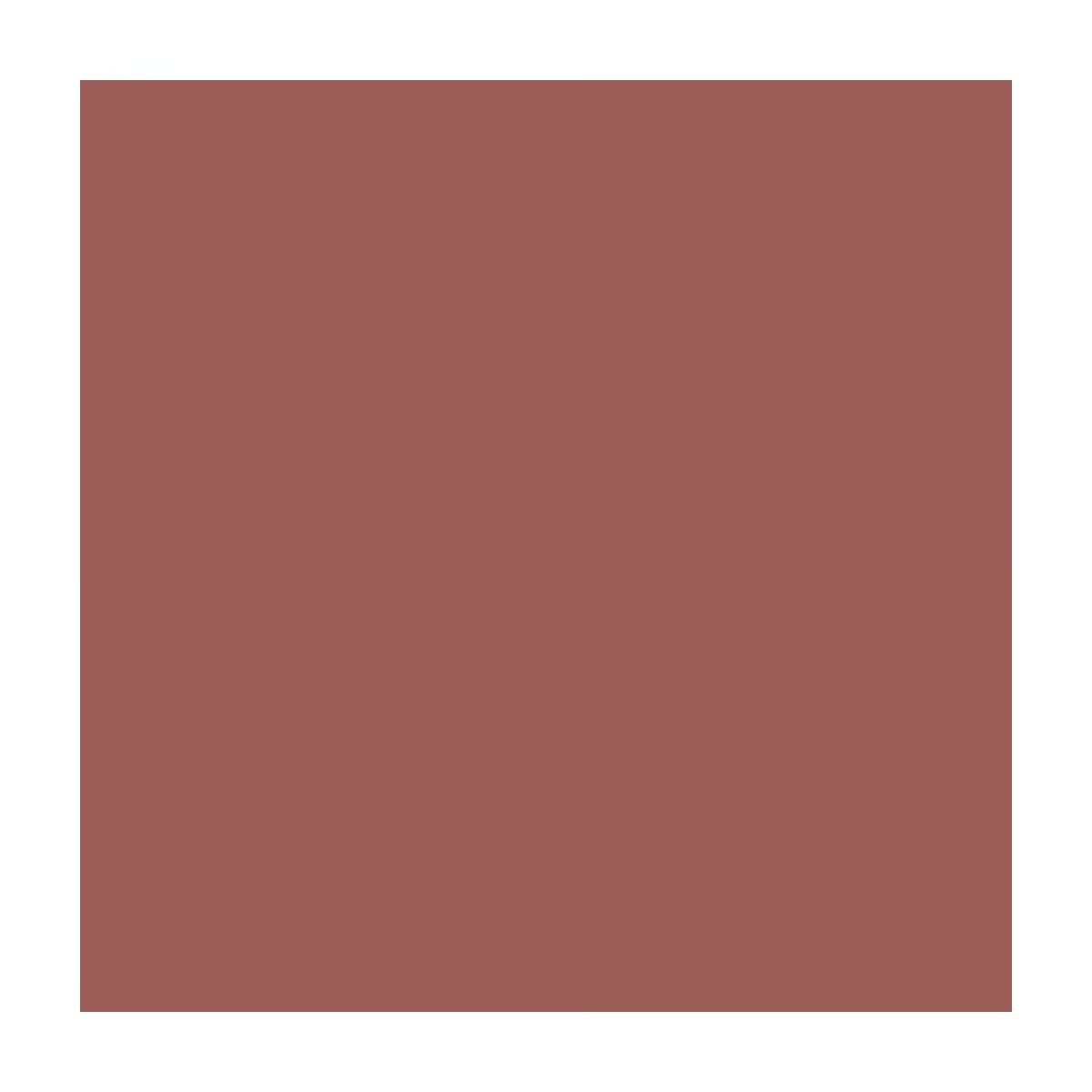 LYKD Dudak Kalemi 105 Caramel - Gratis 4