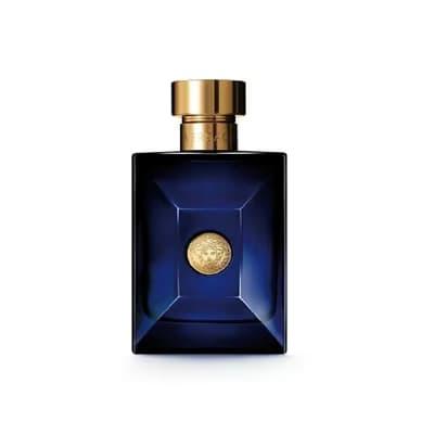 Versace Dylan Blue Erkek Parfüm EDT 100 ml