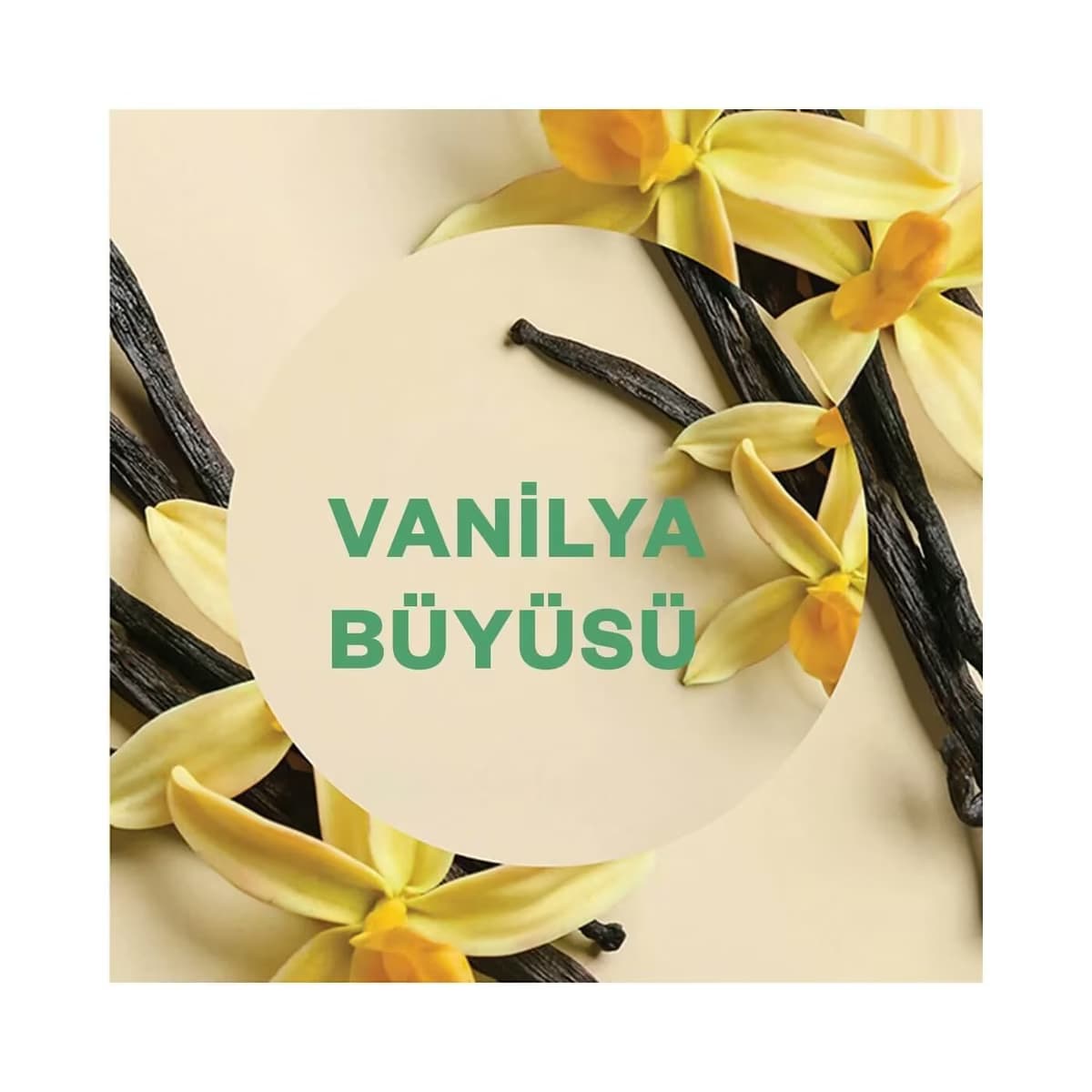 Airwick Elektrikli Oda Kokusu Vanilya Büyüsü 3