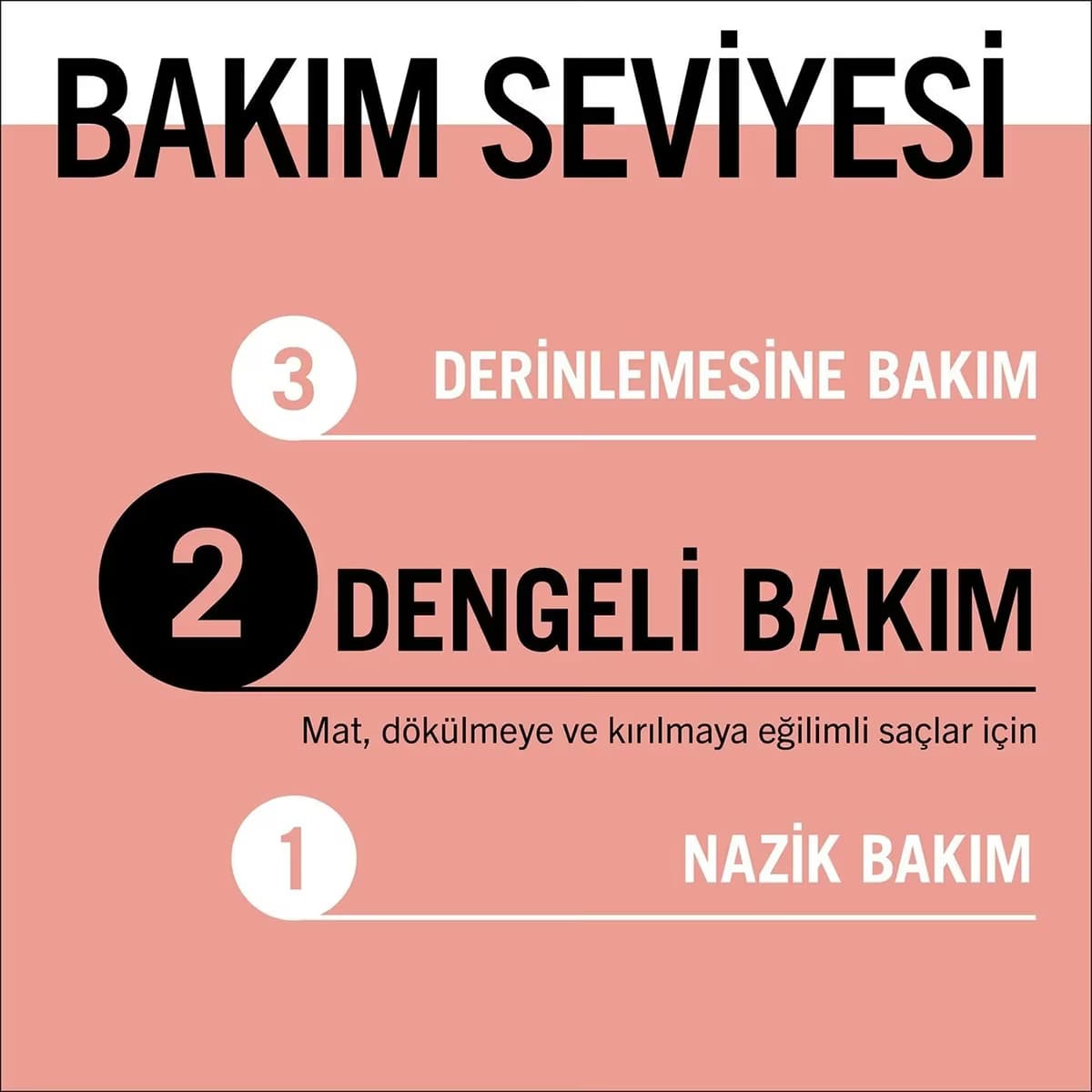 Gliss Şampuan Split Hair Miracle 400 ml 3