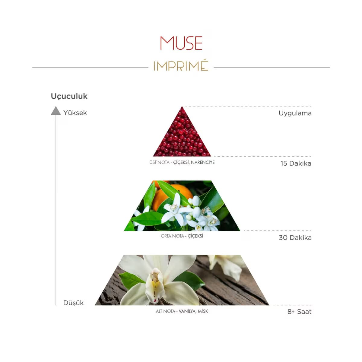 Imprime EDP Women Muse 50 ml 4