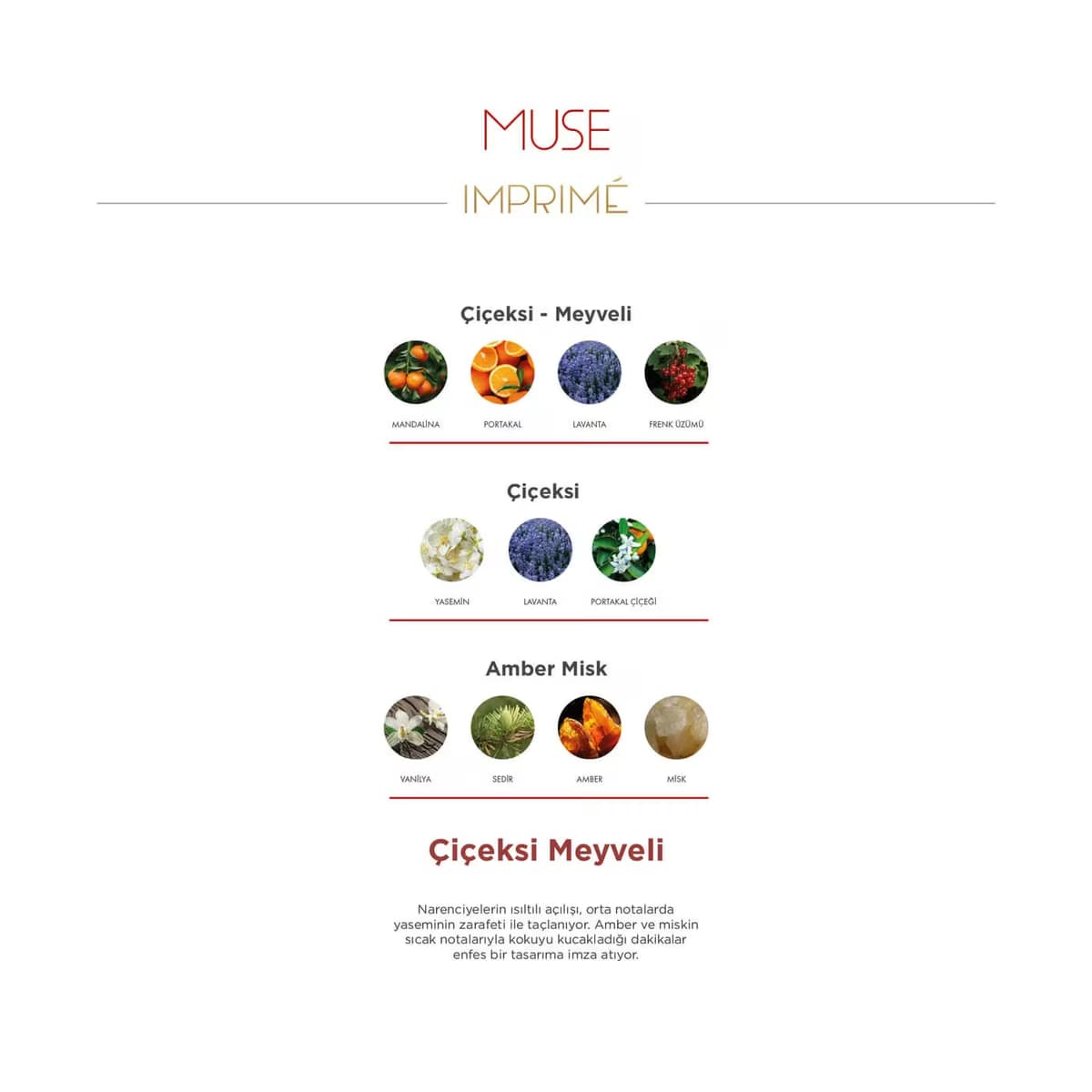 Imprime EDP Women Muse 50 ml 5