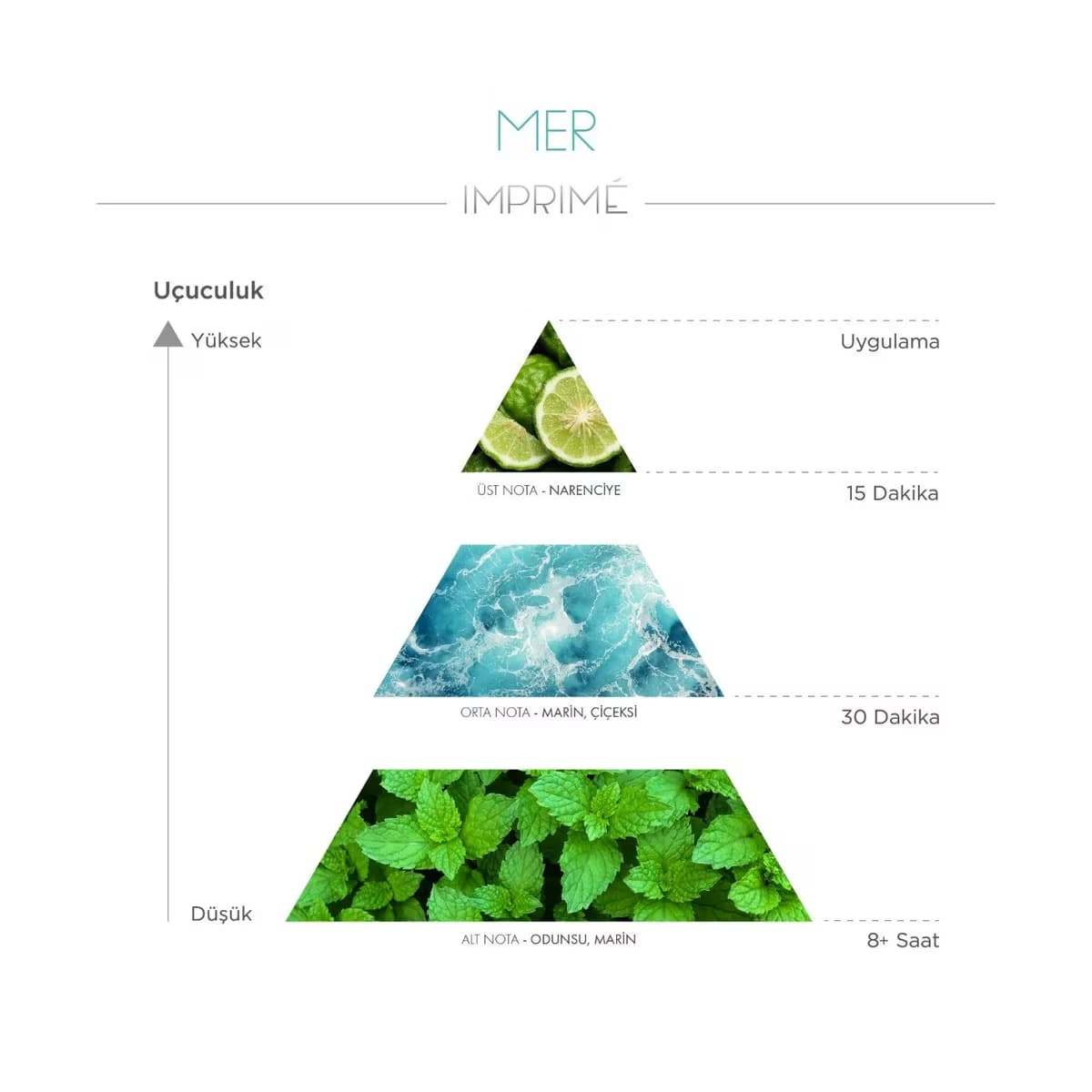 Imprime Mer EDP Erkek Parfüm, 100 ml 4