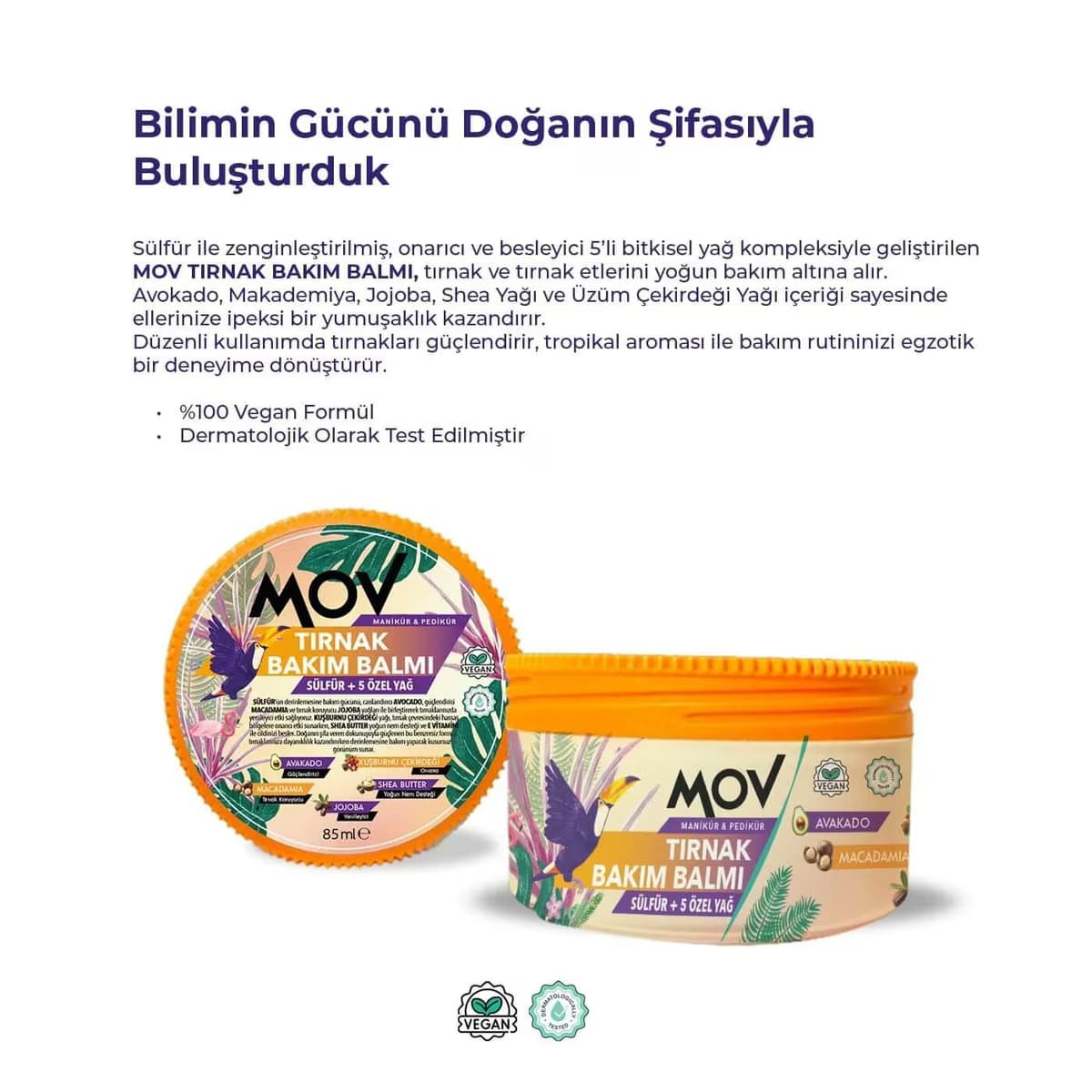 Mov Tırnak Balmı 3