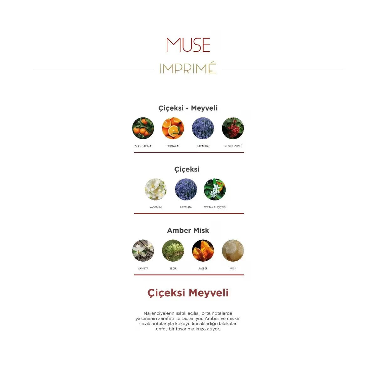 Imprime EDP Women Muse Seyahat Boy 15 ml 4