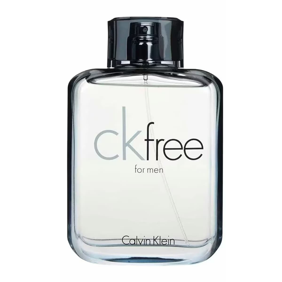 Calvin Klein Free EDT Erkek Parfüm, 100 ml 2