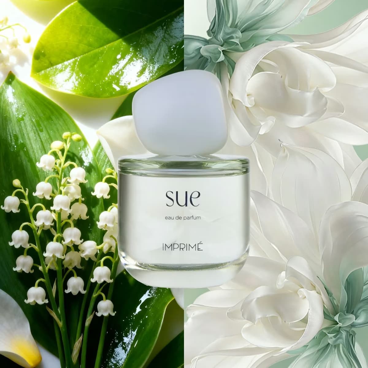 Imprime Sue EDP Kadın 50 ml 3