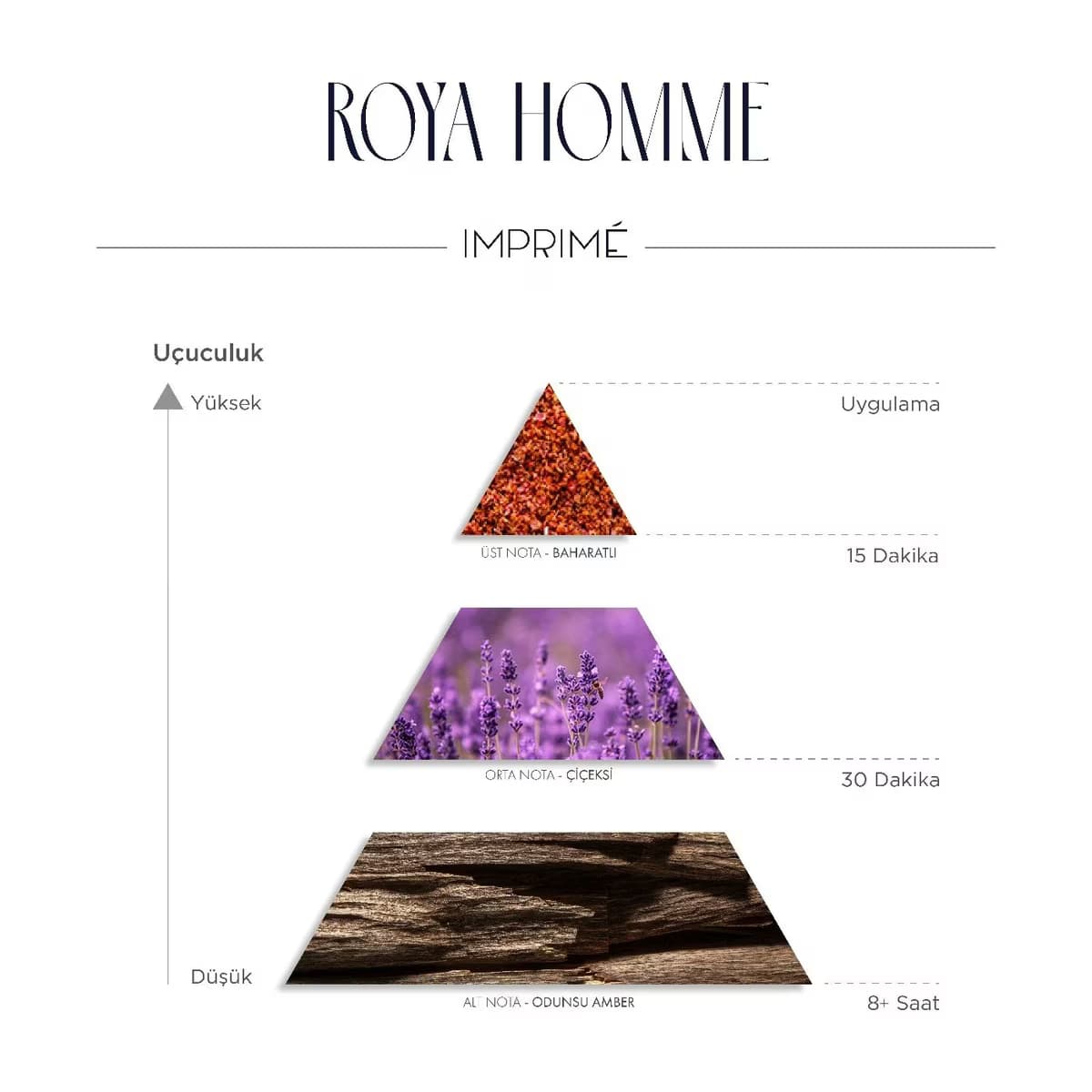 Imprime Roya Homme EDP Erkek Parfüm, 50 ml 4