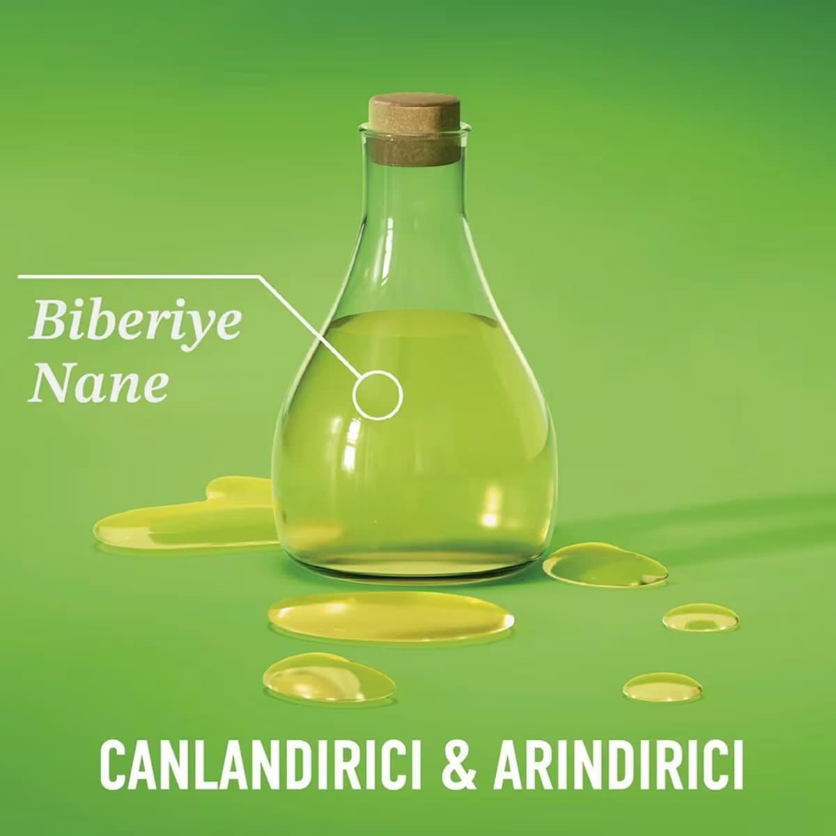 Ogx Şampuan Rosemary Mint, 385 ml 2