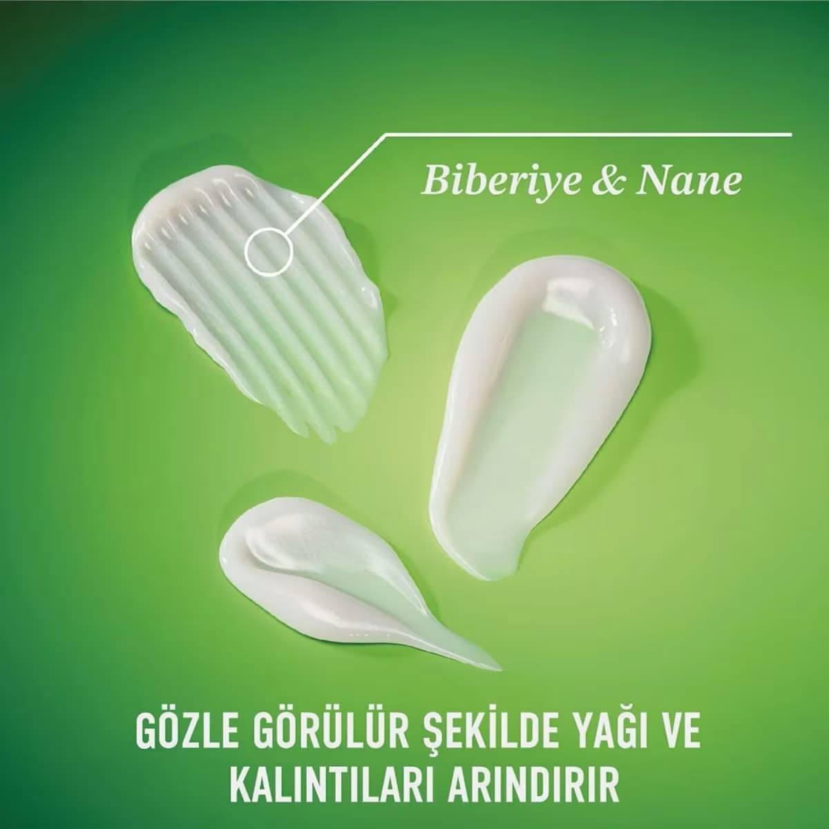 Ogx Şampuan Rosemary Mint, 385 ml 3
